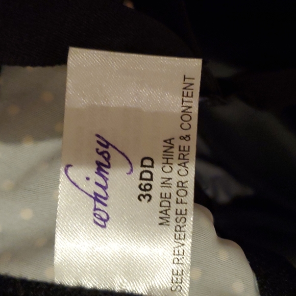 Whimsy Underwire Bra Size 36DD - Picture 4 of 6